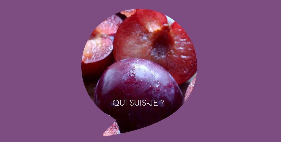Huile de prune, ingredient de L'Optimiste, soin slow cosmetique bio et vegan - Les Happycuriennes