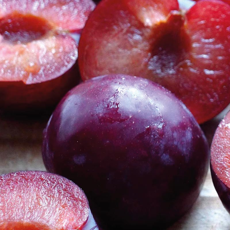 La prune biologique, dans notre soin L Optimiste pour peau seche a sensible