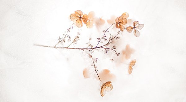Notre recette de beauté naturelle, ingrédient, le minimalisme