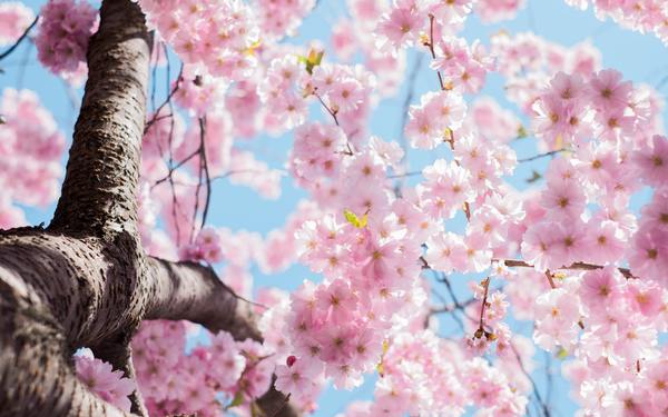 Routine beauté au printemps par Les Happycuriennes