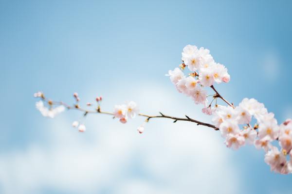 Votre routine beauté au printemps selon Les Happycuriennes