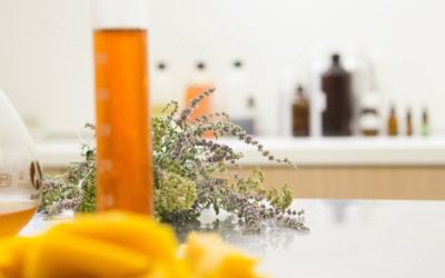 Notre Happy Guide complet de la cosmétique bio