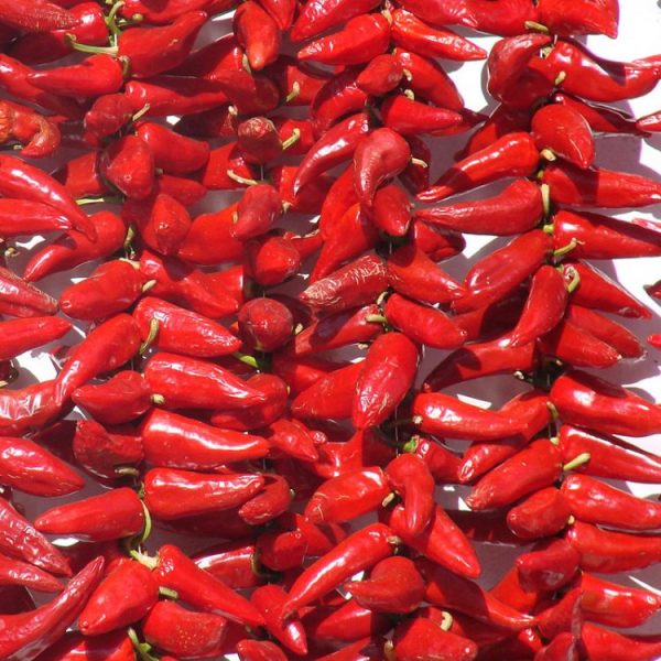 LE PIMENT D'ESPELETTE AOP DE NOTRE COSMÉTIQUE BIO FRANCE AU COEUR DU SUD-OUEST